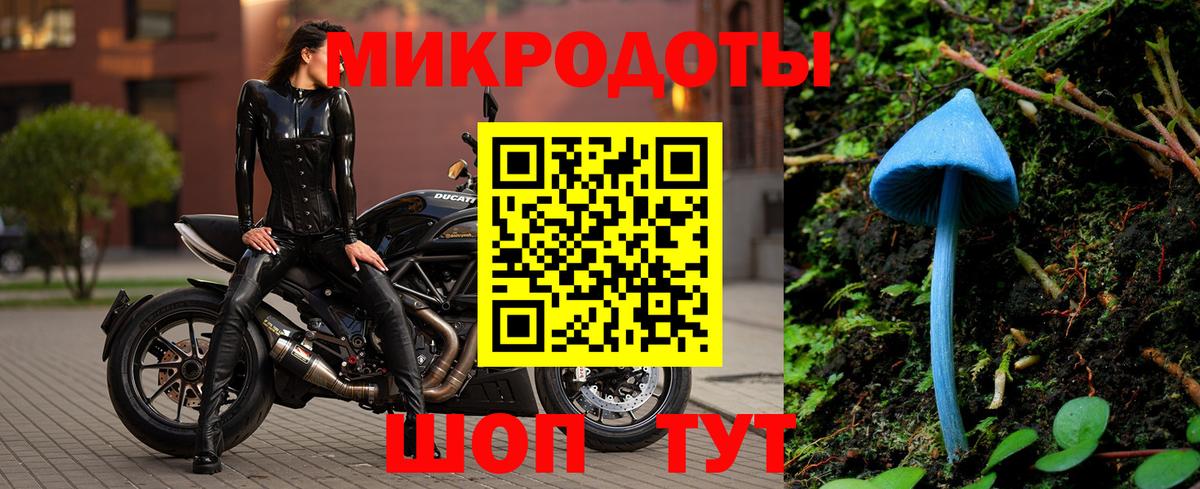 Находка  Псилоцибиновые грибы мухоморы  Вход с VPN 