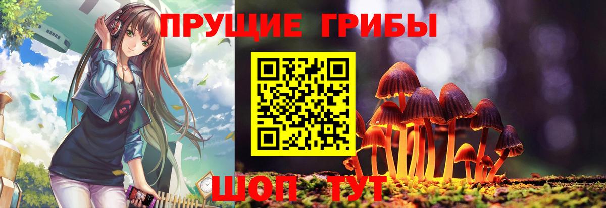 Галлюциногенные грибы GOLDEN TEACHER Находка