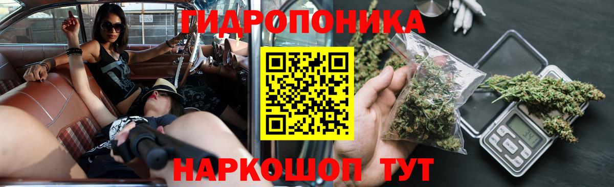Бошки Шишки планчик Находка