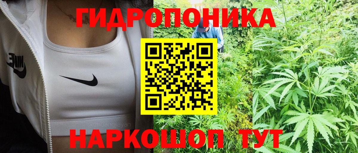 Находка  Бошки марихуана сатива  Вход с VPN  Бошки марихуана Amnesia 